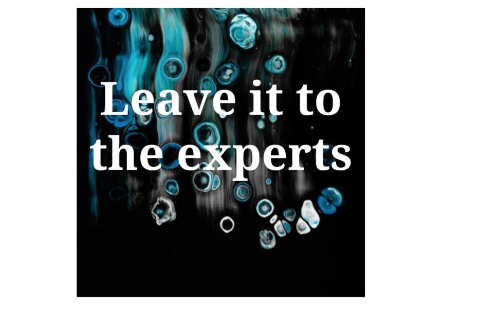 Leave it to the experts